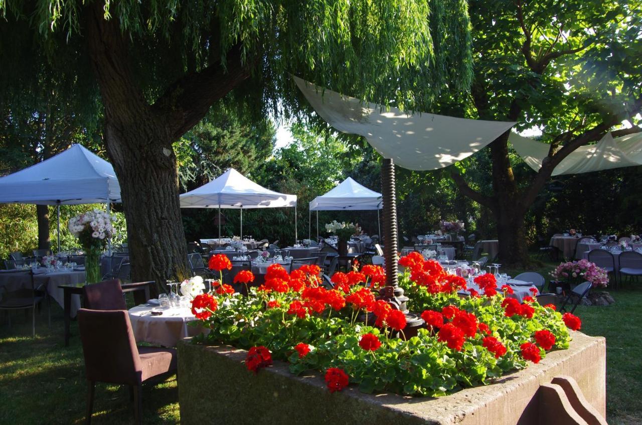 Le Rosenmeer - Hotel Restaurant, Au Coeur De La Route Des Vins D'Alsace Rosheim Exterior foto